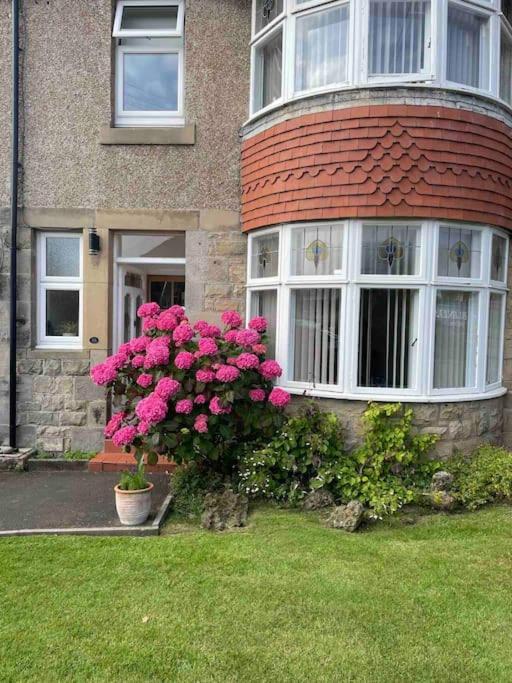 Kelvinside, Seahouses, 2 Minute Walk Into Village Dış mekan fotoğraf